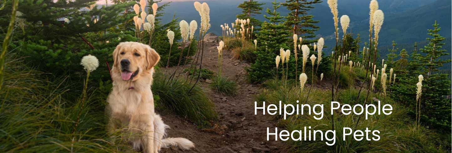 Keepers Animal Clinic