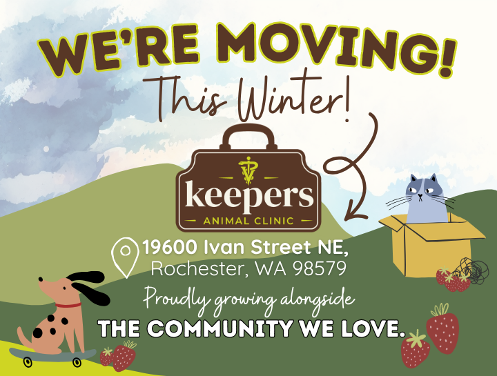 We’re Moving This Winter!